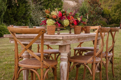 established wholesale plant nursery in mt zion