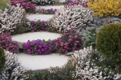 trusted local plant nursery near me in mt zion