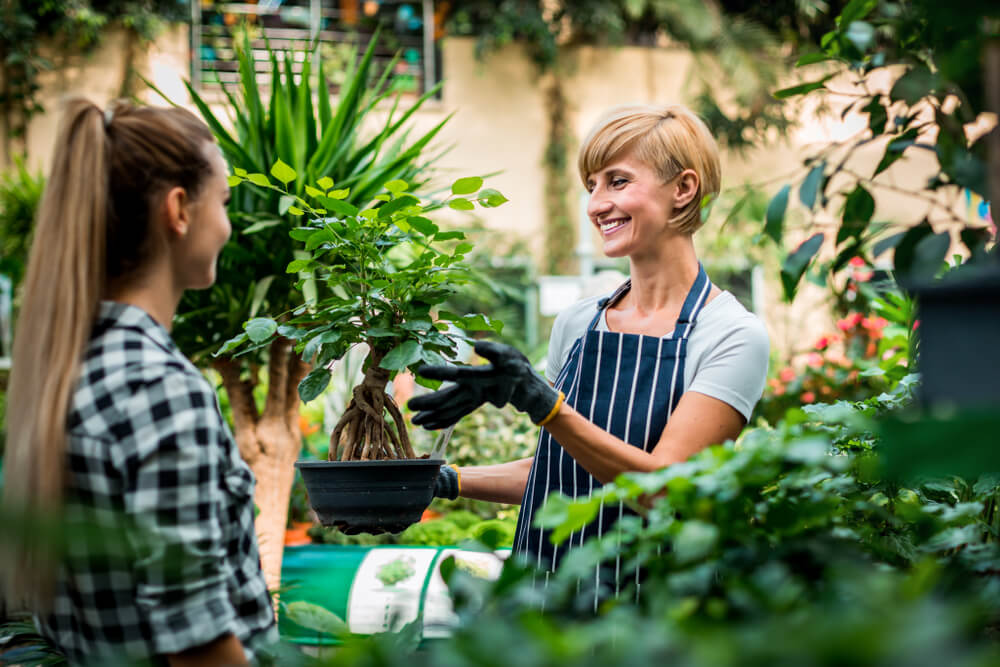 best plant nurseries in mt zion