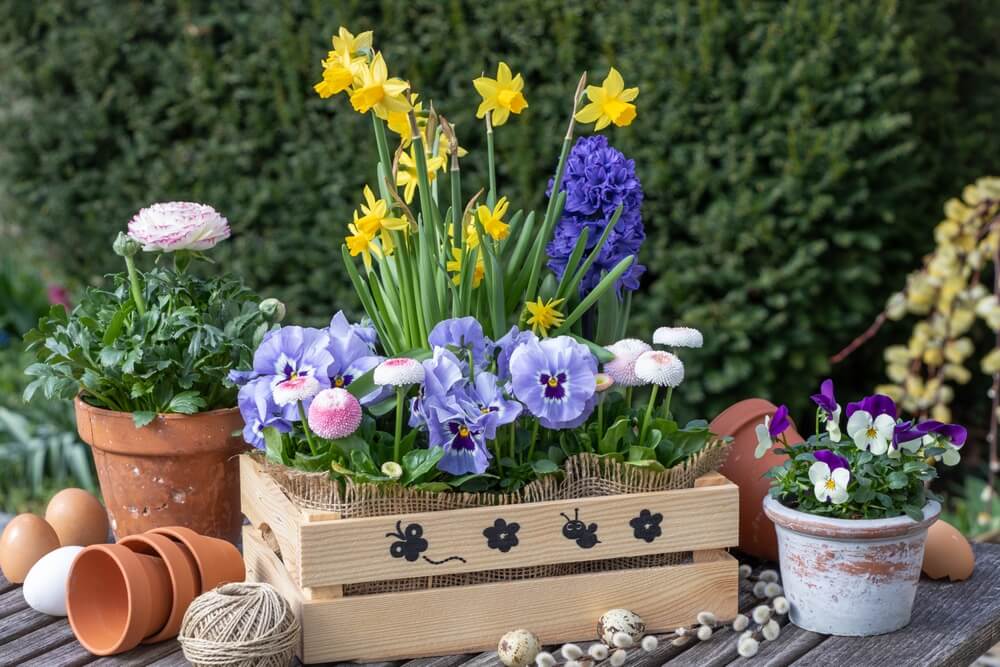 trusted garden shop in mt zion